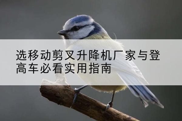 象州电动升降机厂家-选移动剪叉升降机厂家与登高车必看实用指南