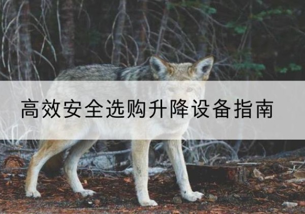 象州升降货梯厂家推荐-*安全选购升降设备指南